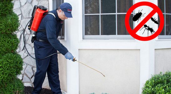 Koyulhisar Sivrisinek İlaçlama böcek ilaçlama ve haşere kontrolü — ilaclama-tr.com